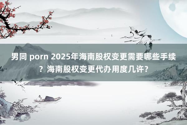男同 porn 2025年海南股权变更需要哪些手续？海南股权变更代办用度几许？