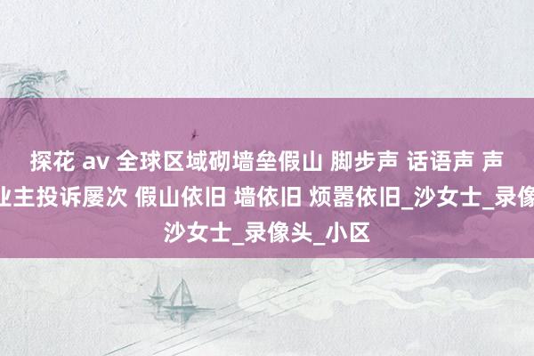 探花 av 全球区域砌墙垒假山 脚步声 话语声 声声入耳 业主投诉屡次 假山依旧 墙依旧 烦嚣依旧_沙女士_录像头_小区