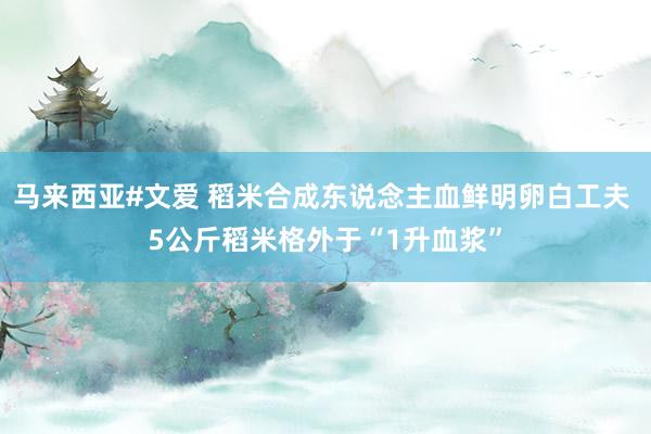 马来西亚#文爱 稻米合成东说念主血鲜明卵白工夫 5公斤稻米格外于“1升血浆”