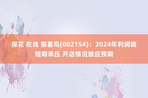 探花 在线 报喜鸟(002154)：2024年利润端短期承压 开店情况顺应预期