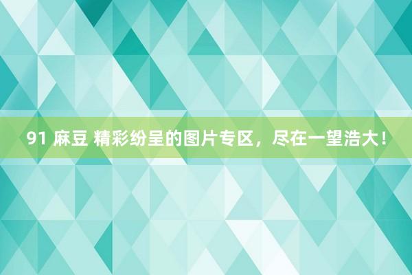 91 麻豆 精彩纷呈的图片专区，尽在一望浩大！