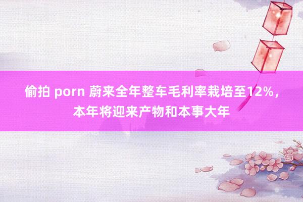 偷拍 porn 蔚来全年整车毛利率栽培至12%，本年将迎来产物和本事大年