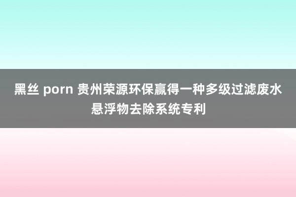 黑丝 porn 贵州荣源环保赢得一种多级过滤废水悬浮物去除系统专利